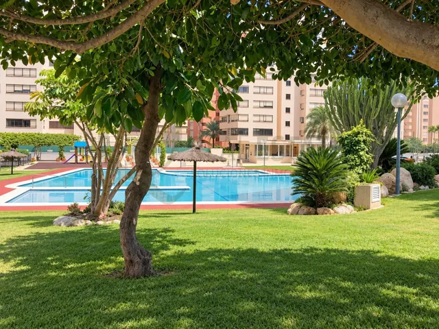 Piso de 3 habitaciones en Playa de San Juan a unos pocos pasos del mar — 19
