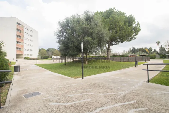 PISO EN ZONA DE CHAPIN — 2