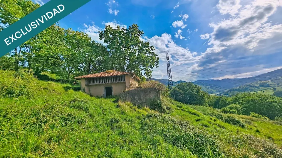 Más de una hectárea de Asturias, una cabaña de piedra y todo el valle por delante.