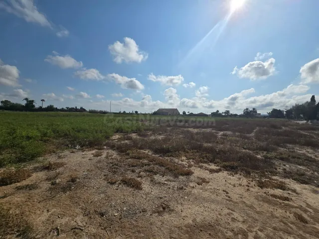 Terreno rural en venta - Valverde - foto 5