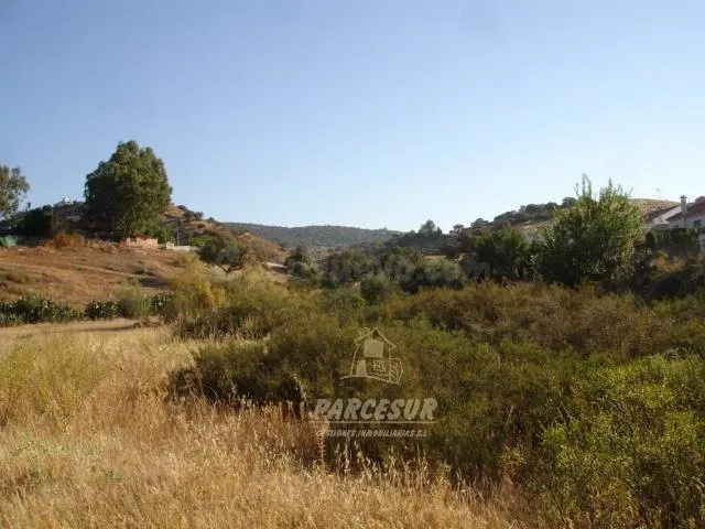 SUELO URBANO DE 36.000 M2 EN LOS ENCINARES DE ALCOLEA. - foto 3