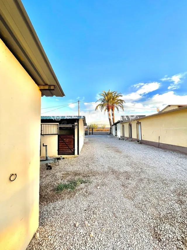 Fantástica finca rústica con piscina privada e instalaciones para caballos junto al Parc Natural del Fond en Dolores, Alicante — 8