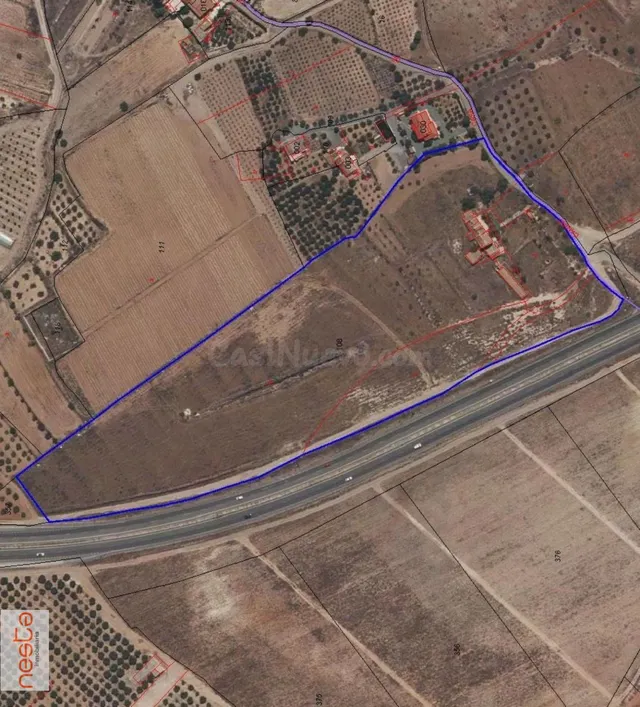 FINCA AGRARIA DE 4,5 HA CON CORTIJO - foto 3