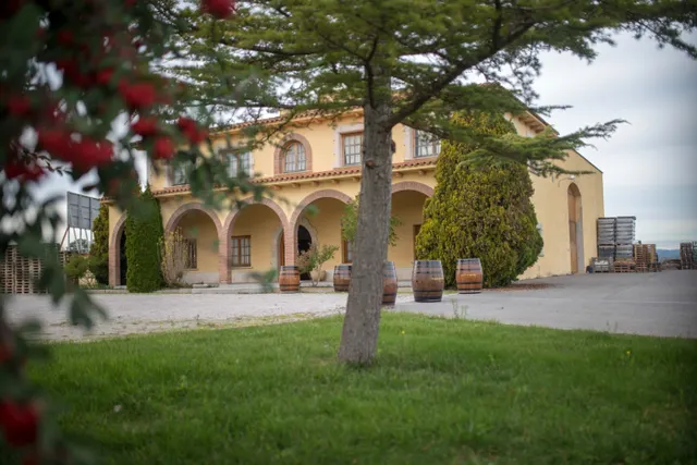 En venta Bodega en el Penedès. — 14