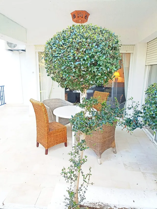 Apartamento 1 habitación 104m² en venta - Riviera del sol — 14