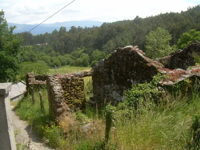 Casa para restaurar — 10