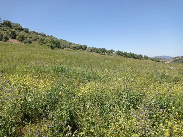 SE VENDE TERRENO EN ZAHARA DE LA SIERRA - foto 5