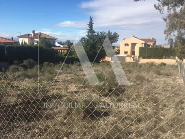 PARCELAS EN LA ALCAYNA - foto 4