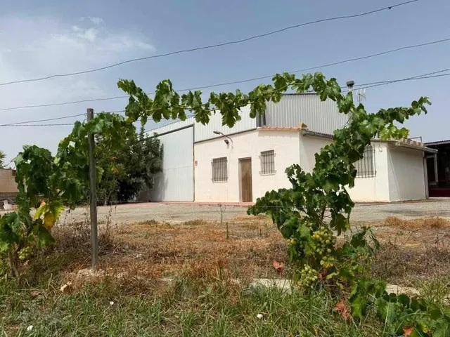 Finca rústica con cortijo, nave agrícola, olivar y derechos 
