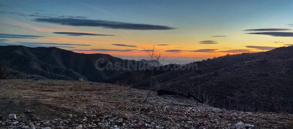 Terreno rústico de 11835 m² en Marbella para cultivo o inversión