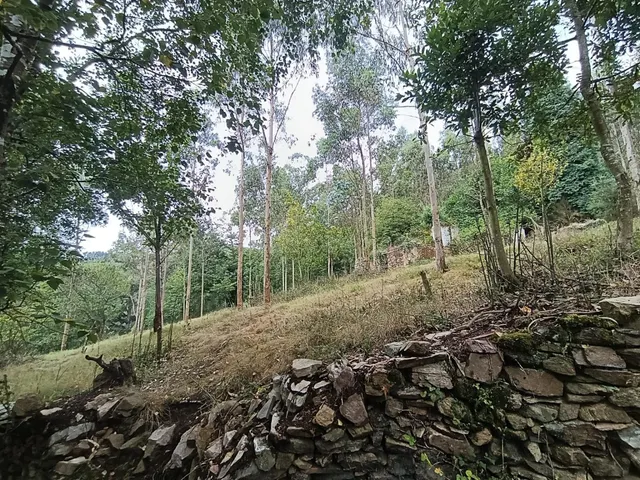 Finca rústica 40m² en venta - Northern spain — 10