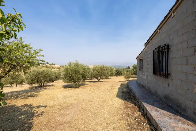 Encanto rústico con casita y olivos en Moraleja de Zafayona — 22