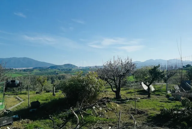 Finca rústica 2 habitaciones 150m² en venta - Puerto Sol-Los Almendros-El Tomillar — 4