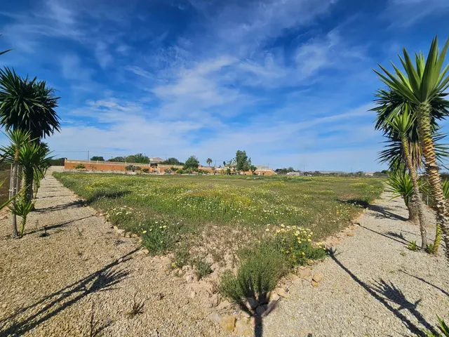 INCREIBLE CASA DE CAMPO EN TORRELLANO BAJO ! - foto 3