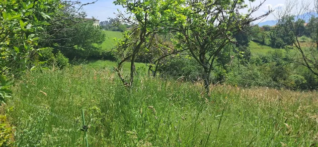 MAGNIFICA PARCELA CON UN HORREO Y CON IMPRESIONANTES VISTAS  - foto 5