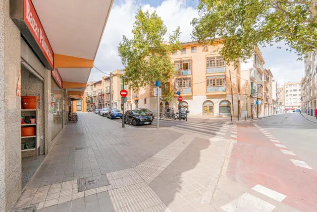 Amplio Local Comercial en Palma de Mallorca - Zona Escola Gr - foto 4
