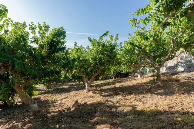 Encantadora Casa de Campo en Motril con Vistas al Mar en el Pago de Minasierra de Motril — 27