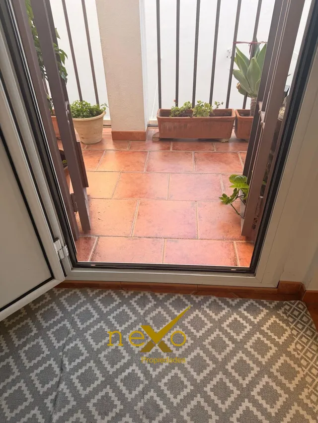 CASA DOS PLANTAS. ZONA NECRÓPOLIS — 21