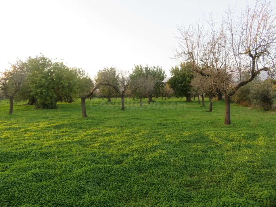 Finca rústica en venta en Selva