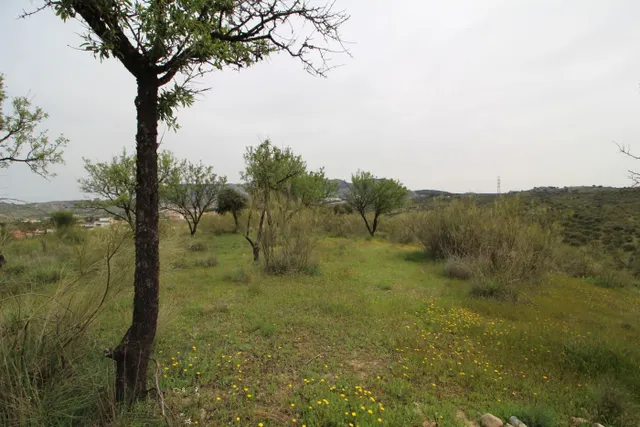 FINCA EN CORTIJO SAN JERÓNIMO (BARTODANO) — 30