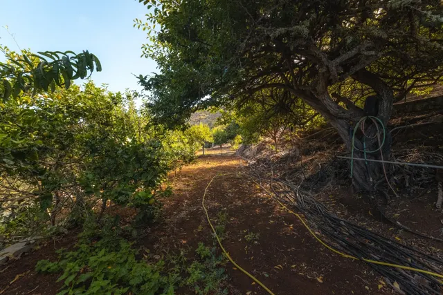 Finca rústica con casa terrera y vistas al mar en tierra del trigo, los silos — 28