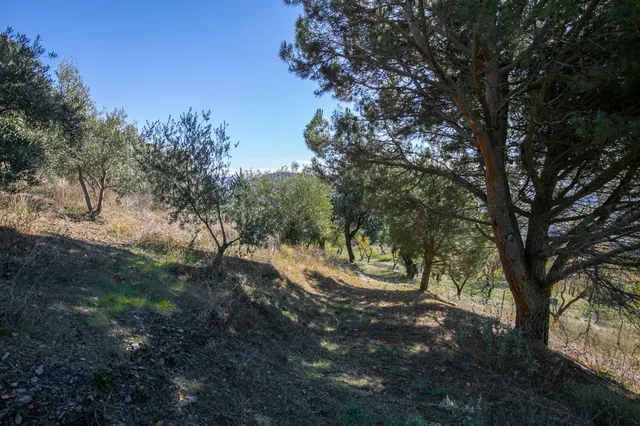 Cortijo La Jara – Un refugio de ensueño en La Alpujarra — 33