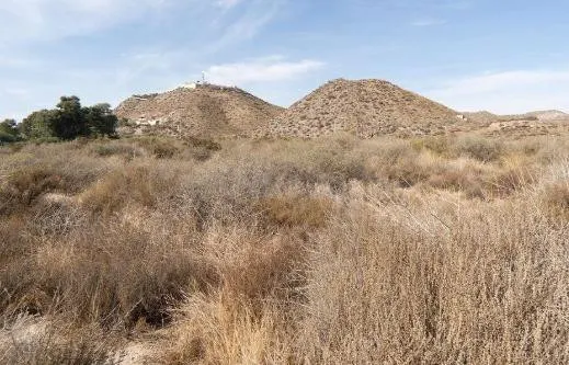 Terreno urbanizable en transformación en venta en carretera  - foto 5