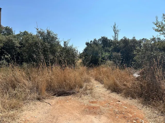 PARCELA EN EL BOSQUE DE HENARES PIOZ — 3
