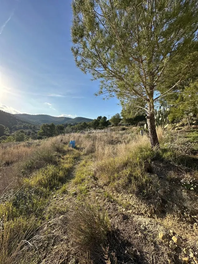 PARCELA RÚSTICA EN GEBAS – PLENA NATURALEZA - foto 5