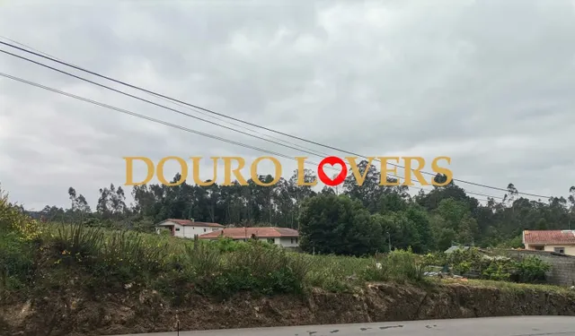 Terreno urbano en venta - Fiães - Sanguedo - foto 2