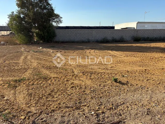 Terreno rural en venta - La Jara — 9