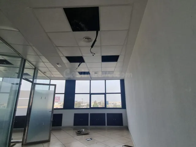 Oficina 520m² en alquiler - Avenida de las Ciencias