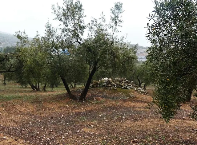 Finca rústica en Peligros – Excelente ubicación y acceso — 22