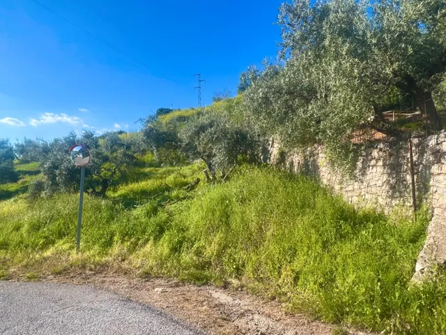 NÍVAR-GRANADA — 4