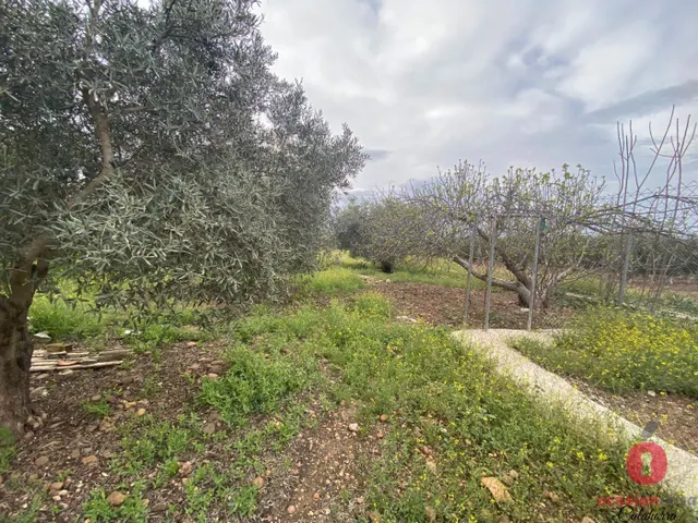 GRAN CASA CON TERRENO EN LOS ALGARBES (LA CARLOTA) - 3.500 METROS ¡HIPOTECABLE! — 38