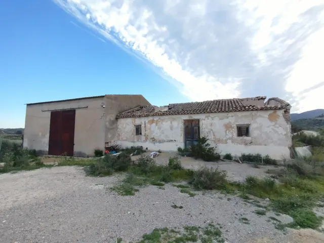FINCA EN REGADIO DE HIGUERAS EN ECÓLOGICO, - foto 4