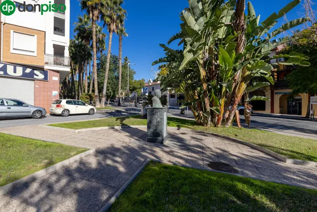 Local Comercial Avenida Enrique Martín Cuevas No.6 L8 — 29