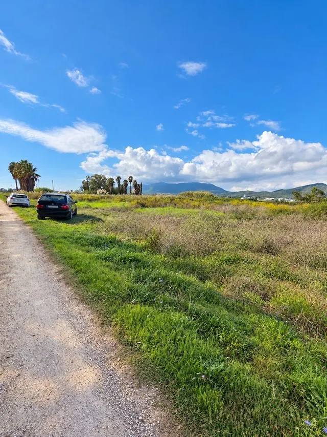 Finca rústica de 6.705 m2 en la zona de els ullals de baltasar, Amposta — 9
