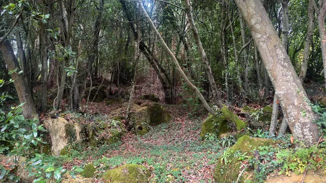Terreno Urbano en Novales Alfoz de Lloredo - foto 5