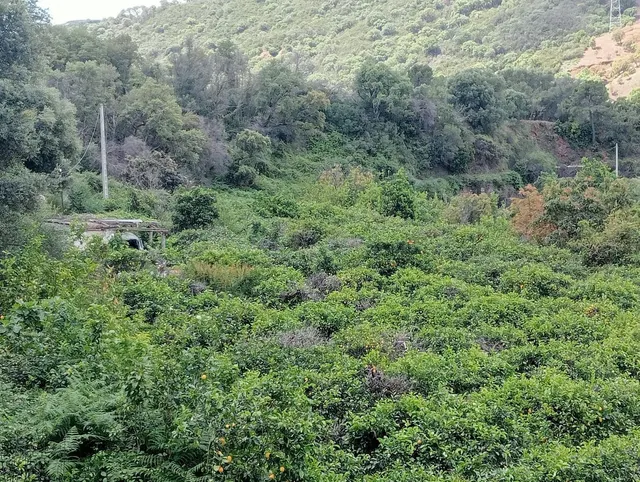 Parcela 10000m² en venta - Costa Del Sol - foto 2