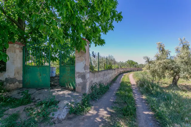 "¡Vive la vida en el campo! Terreno con casa de aperos y cultivos de olivos y frutales en ve — 27