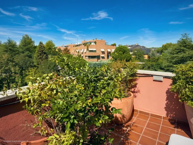 ÁTICO DÚPLEX CON TRES TERRAZAS Y PRIVACIDAD DE CHALET EN EL  - foto 4