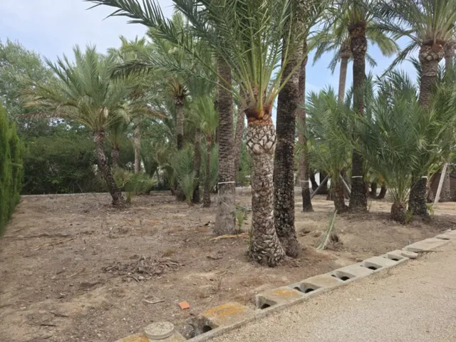 Exclusiva Finca con parcela llana en venta en Teulada - Amplias Posibilidades de Desarrollo — 37