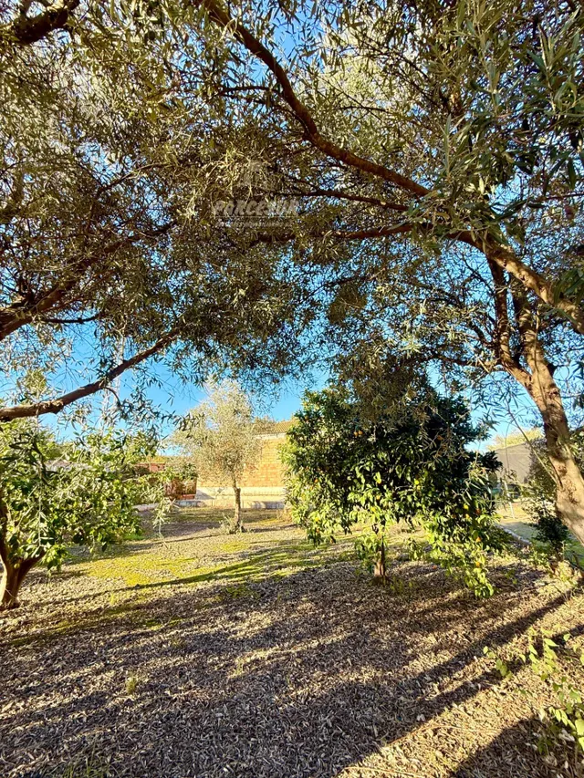 Casa de Campo en La Barquera, Córdoba — 25
