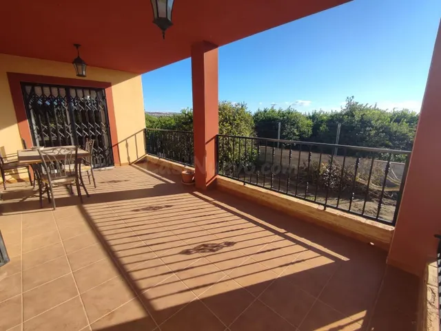 Casa de campo con huerta en Algorfa, a pocos kilómetros de l - foto 4