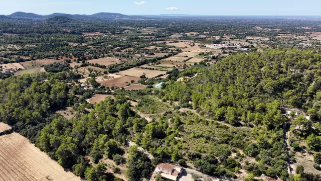 Terreno rústico de 10.000m2 en son quetlles, Felanitx — 11