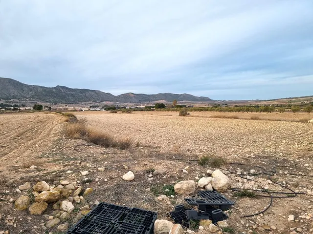 SE VENDEN PARCELAS PARA CONSTRUIR EN SALINAS (ALICANTE) SPAI - foto 5