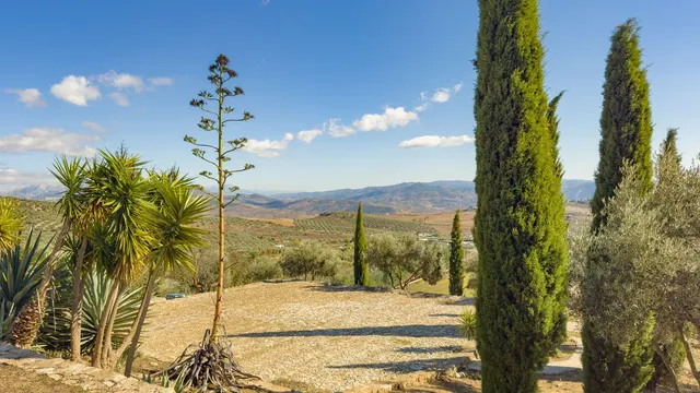Finca rústica 13 habitaciones 999m² en venta - South of spain — 24