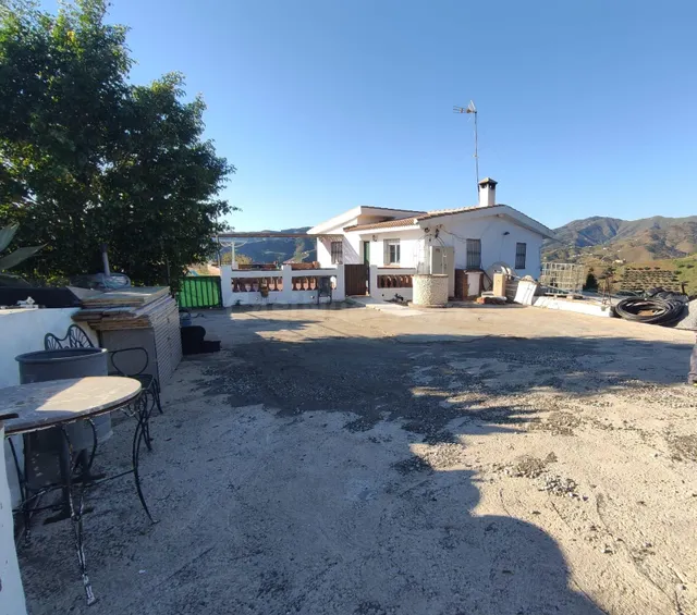 SE VENDEN 2 CASAS Y 1 APARTAMENTO CON PISCINA Y ARBOLES FRUT - foto 4