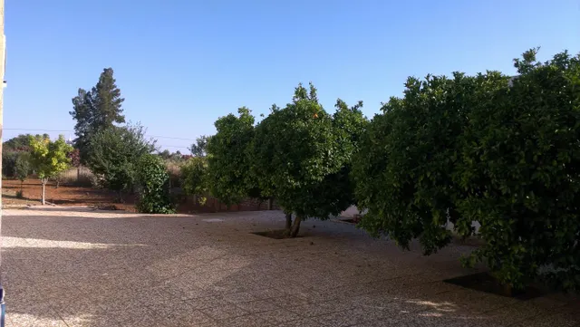 Venta de parcela con casa — 16